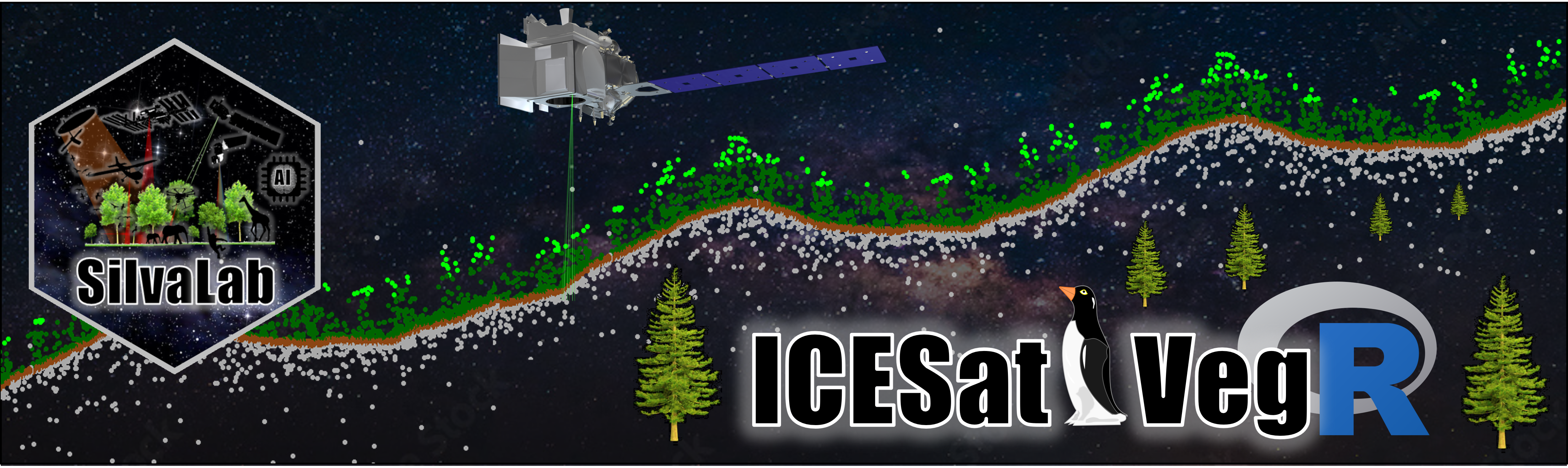 ICESat2VegR project preview